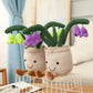 Plant Plushies